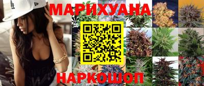 крисы Дубна