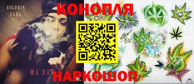крисы Дубна