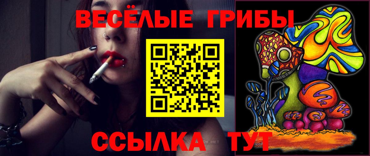 Краснодар  Галлюциногенные грибы ЛСД  Галлюциногенные грибы Psilocybe  Вход с VPN 
