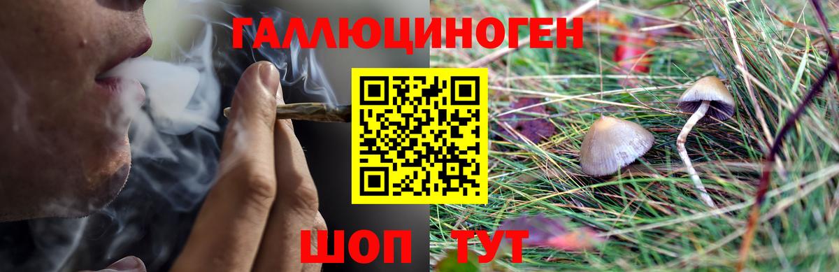 Галлюциногенные грибы мухоморы Краснодар